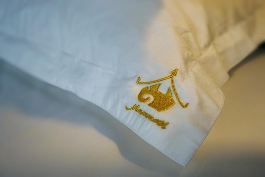 צ'יאנג מאי Mammoth Boutique Hotel מראה חיצוני תמונה