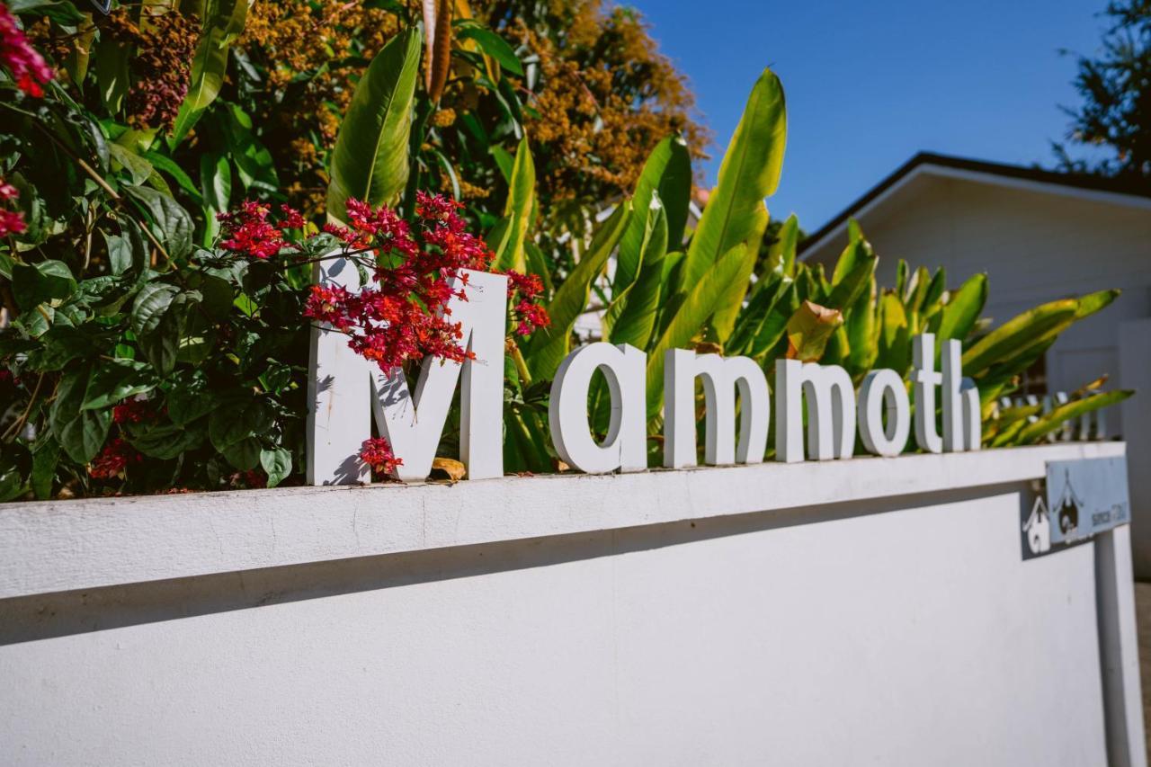 צ'יאנג מאי Mammoth Boutique Hotel מראה חיצוני תמונה